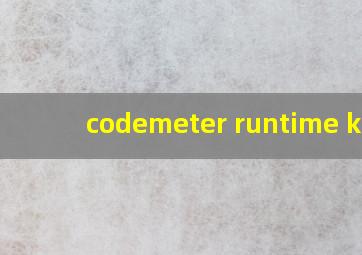 codemeter runtime kit